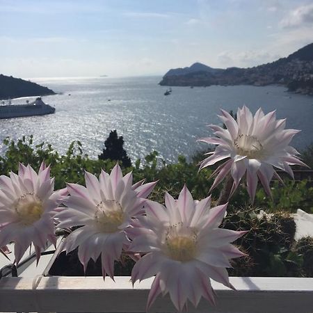 Apartment And Room Sveti Jakov Ντουμπρόβνικ Εξωτερικό φωτογραφία